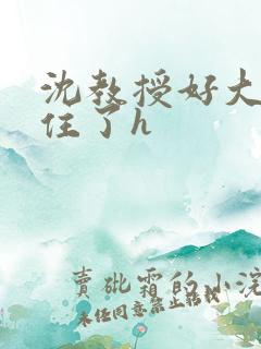 沈教授好大含不住了h