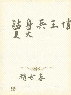 贴身兵王俏总裁夏天