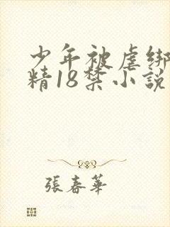 少年被虐绑着榨精18禁小说