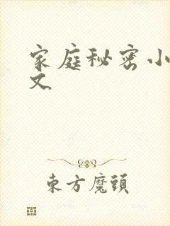 家庭秘密小说全文