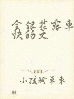 金银花露车速最快的文