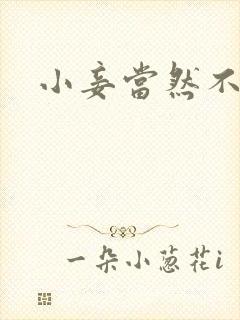 小妾当然不如妻