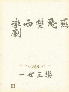 微雨双飞燕电视剧