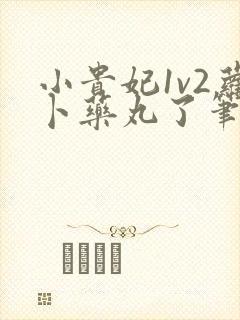 小贵妃1v2萝卜药丸了笔趣阁