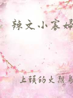 辣文小寡妇