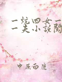 一炕四女一共侍一夫小说阅读