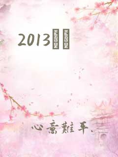 2013С˵