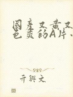 国产又黄又大又色爽的A片小说