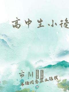 高中生小后妈
