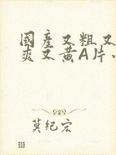 国产又粗又猛又爽又黄A片小说