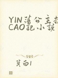 YIN荡公主挨CAO记小说