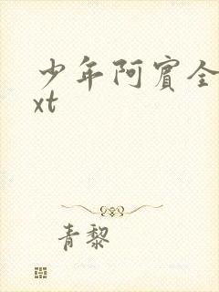 少年阿宾全集txt