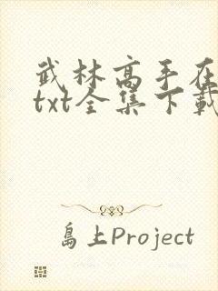 武林高手在异世txt全集下载