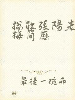 总政张阳老婆吕梅简历