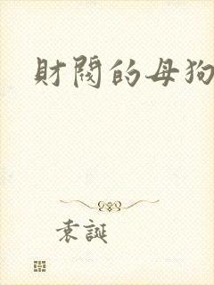 财阀的母狗们