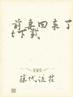 前妻回来了txt下载