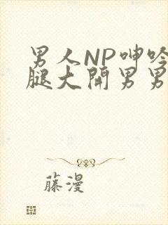 男人NP呻吟双腿大开男男小说