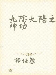 九阴九阳之阴阳神功
