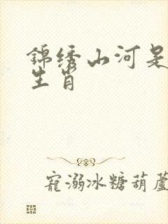 锦绣山河是什么生肖