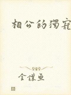 相公的独宠妻子