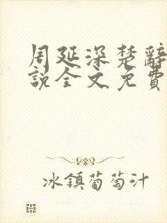 周延深楚辞的小说全文免费阅读