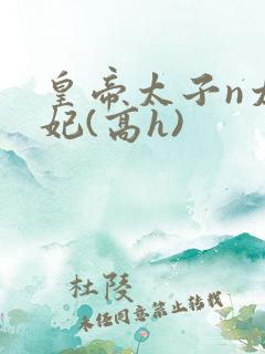 皇帝太子n太子妃(高h)