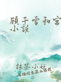 顾千雪和宫凌沨小说
