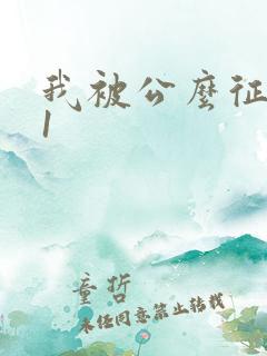 我被公么征服了1