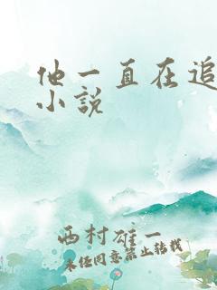 他一直在追初恋小说