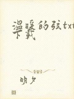 温暖的弦txt下载