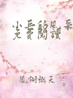 小兵的风采小说免费阅读