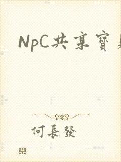 NpC共享宝贝