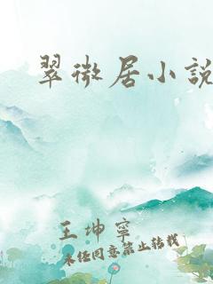 翠微居小说
