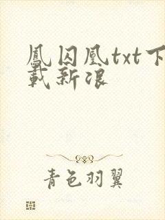 凤囚凰txt下载新浪