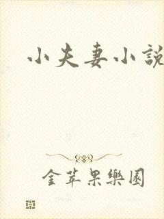 小夫妻小说