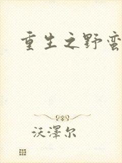 重生之野蛮盗贼