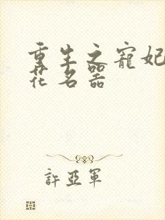 重生之宠妃白莲花名器