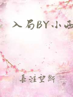 入局BY小西