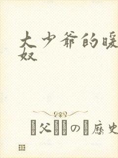 大少爷的暖床小奴