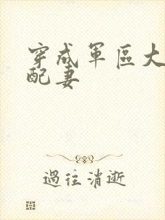 穿成军区大佬女配妻