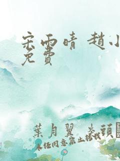 宋雨晴 赵小刚免费