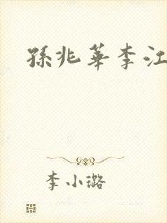 孙兆华李江小说