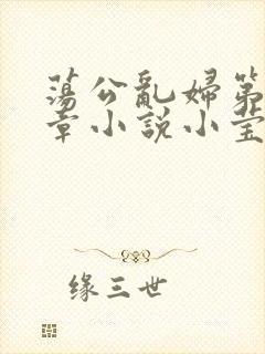 荡公乱妇第51章小说小莹