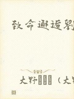 致命邂逅刘小寐