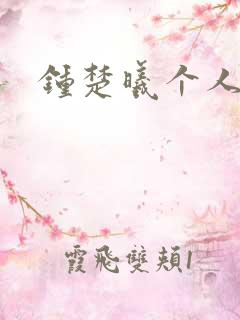 钟楚曦个人简历