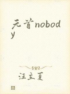 元首nobody