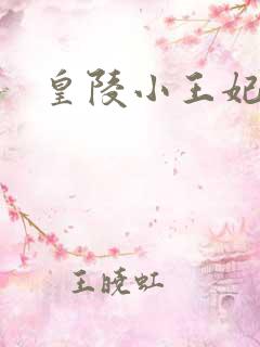 皇陵小王妃