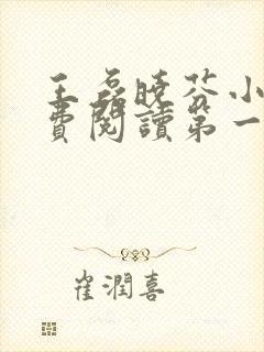 王磊晓芬小说免费阅读第一章