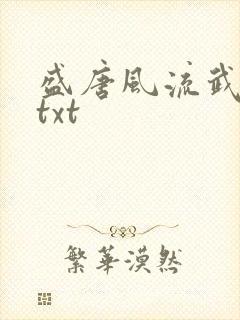 盛唐风流武状元txt