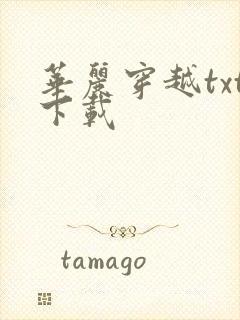 华丽穿越txt下载